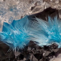 Cyanotrichite - La Collancelle - Assise de Chitry - Nièvre