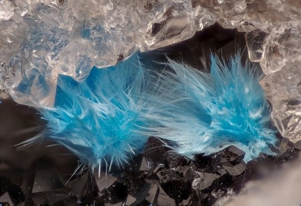 Cyanotrichite - La Collancelle - Assise de Chitry - Nièvre