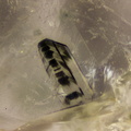 Inclusion Brookite dans Quartz - Jarrier - St-Jean de Maurienne - Savoie