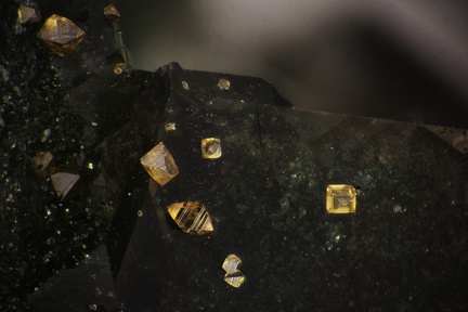 Anatase Quartz - Massif de la Lauzière - Savoie