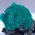 Chalcophyllite - Le Franciman - Paulinet - St Jean de Jeannes - Tarn
