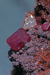 Cuprite - Mont Roc - Tarn