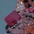 Cuprite - Mont Roc - Tarn