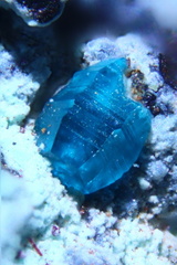 Spangolite - Mont Roc - Tarn