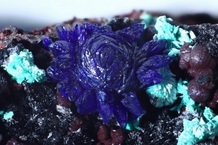 Azurite - Mont Roc - Tarn