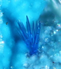 Connellite - Le Moulinal - St Jean de Jeannes - Tarn