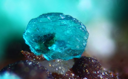 Spangolite - Le Moulinal - St Jean de Jeannes - Tarn