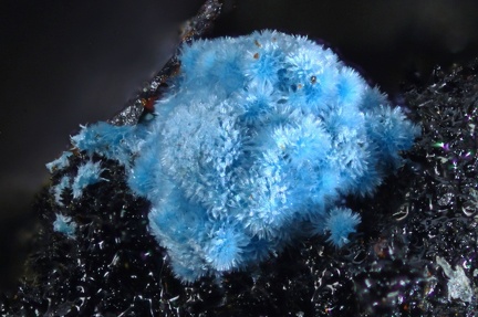 Cyanotrichite - Le Moulinal - St Jean de Jeannes - Tarn