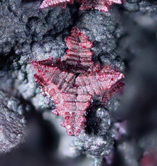 Cuprite - Le Moulinal - St Jean de Jeannes - Tarn