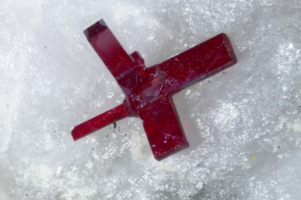 Cuprite - Le Moulinal - St Jean de Jeannes - Tarn