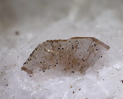  Iimoriite-(Y) - Trimouns - Luzenac - Ariège