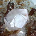 Calcite Allanite-(Ce) -  Trimouns - Ariège