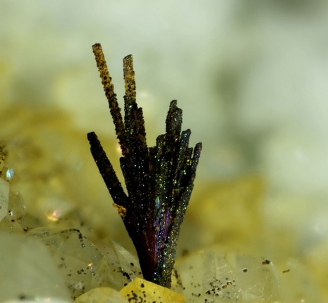 Aeschynite-(Y) - Trimouns - Luzenac - Ariège 