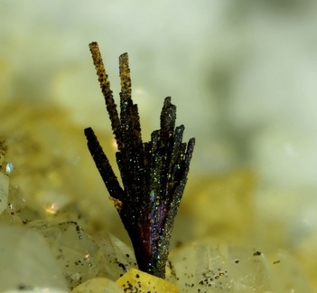 Aeschynite-(Y) - Trimouns - Luzenac - Ariège 