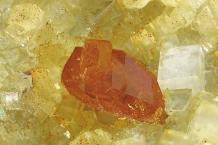Monazite-(Ce) -  Trimouns - Luzenac - Ariège