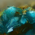 n°109099 - Serpierite -  Le Couloumier (mine) – Auzat – Ariège