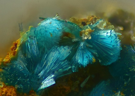 n°109099 - Serpierite -  Le Couloumier (mine) – Auzat – Ariège