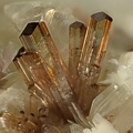 Allanite-(Ce) - Trimouns - Luzenac - Ariège