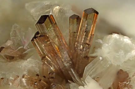 Allanite-(Ce) - Trimouns - Luzenac - Ariège