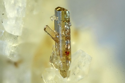 Allanite-(Ce) - Trimouns - Luzenac - Ariège