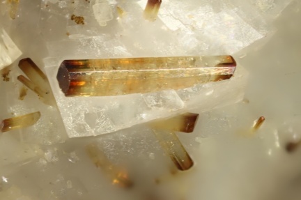 Allanite-(Ce) -  Trimouns - Luzenac - Ariège