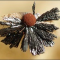 Goethite  dans une loge d'ammonite -  Belmont (carrièreLafarge) - Rhône 