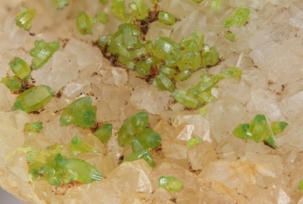 n°143093 - Pyromorphite - Pissis - Connangles - Haute-Loire