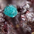 n°106010 - Gilmarite Cuprite - Clue de Roua - Daluis - Alpes-Maritimes