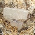 n°148061 - Stolzite - Sainte Lucie (mine) - Saint Léger de Peyre - Lozère