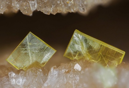 Autunite - Mine de la Dorgissière - Saint-Amand-sur-sèvre - Deux-Sèvres