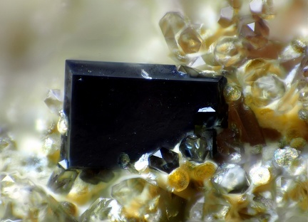 n°183118 - Anatase - Lac de la Charbonnière - Fréjus - Var