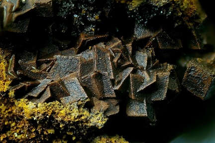 n°183120 - Oxyde de Fer pseudomorphosé en Sidérite -  Lac de la Charbonnière - Fréjus - Var