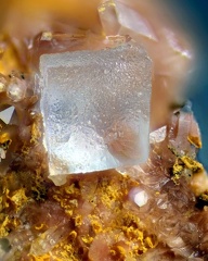 n°183122 - Fluorite - Lac de la Charbonnière - Fréjus - Var