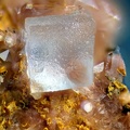 n°183122 - Fluorite - Lac de la Charbonnière - Fréjus - Var