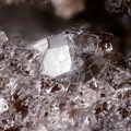 n°183123 - Opale (var. hyalite) - Lac de la Charbonnière - Fréjus - Var
