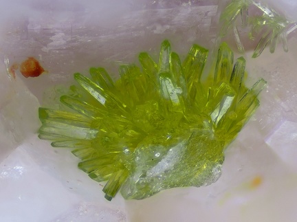 n°183131 - Pyromorphite - Vallon Caoud - Vidauban - Var