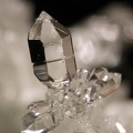 Quartz sceptre - Creuzeval - St Didier sur Beaujeu - Rhône