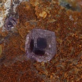 Fluorite - Les Gottes (Carrière) - St Julien Molin-Molette - Loire