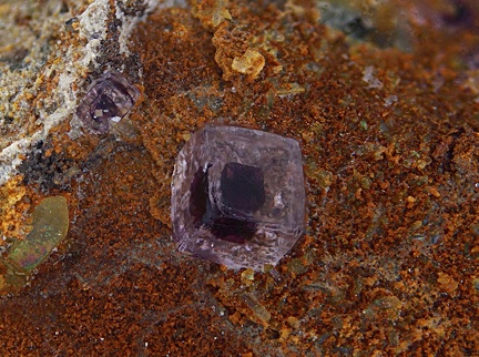 Fluorite - Les Gottes (Carrière) - St Julien Molin-Molette - Loire