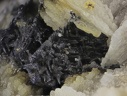 n° 130092 -  Galene (var. reticulée) Baryte - Les Malines - Vieux travaux - Saint Laurent le Minier - Gard