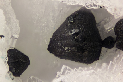 n°  130099 - Tetraedrite -  Les Malines - Sanguinède - Saint Laurent le Minier - Gard