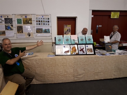 Sainte Marie aux Mines 2018