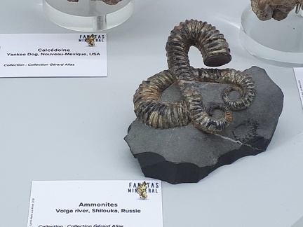 Sainte Marie aux Mines 2018
