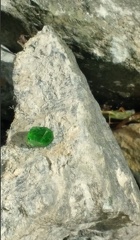 ANDRADITE (var. demantoïde) -  Mine IMI Fabi - Lanzada - Val Malenco