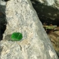 ANDRADITE (var. demantoïde) -  Mine IMI Fabi - Lanzada - Val Malenco