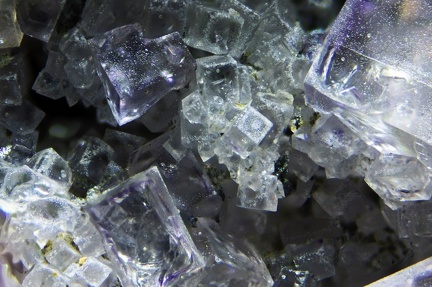 n°188053(1)  - Fluorite - Haut du Them (mine) -	Maxonchamp - Vosges