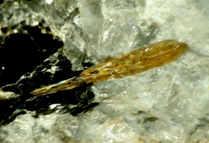  Xénotime - Vourles - Rhône
