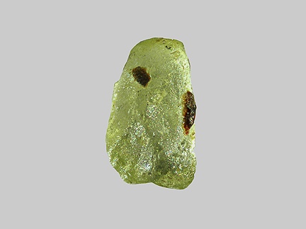 Forstérite - La Durance - Peyrolles-en-Provence - Bouches-du-Rhône - FP - Taille 0,6mm