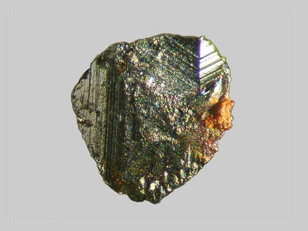 Hématite - La Durance - Peyrolles-en-Provence - Bouches-du-Rhône - FP - Taille 1,8mm
