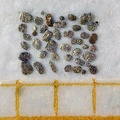 Isoferroplatine - La Durance - Peyrolles-en-Provence - Bouches-du-Rhône - FP - 50 paillettes